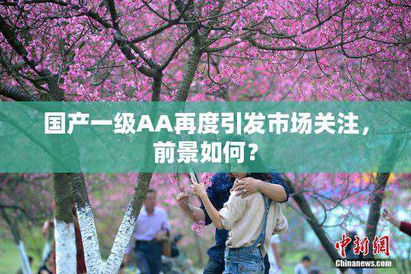 国产一级AA再度引发市场关注，前景如何？