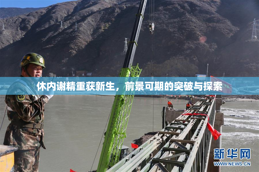 休内谢精重获新生，前景可期的突破与探索