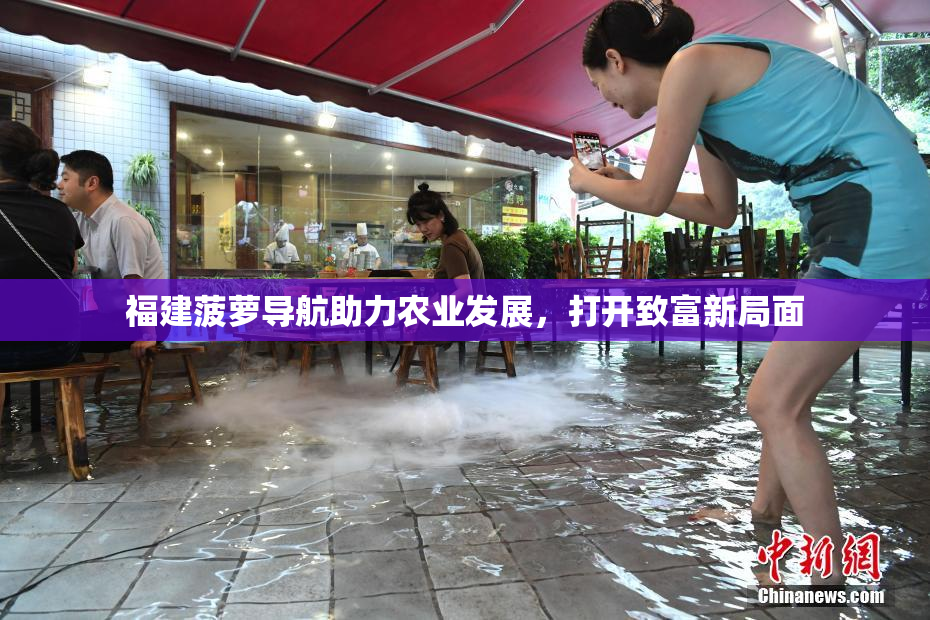 福建菠萝导航助力农业发展，打开致富新局面
