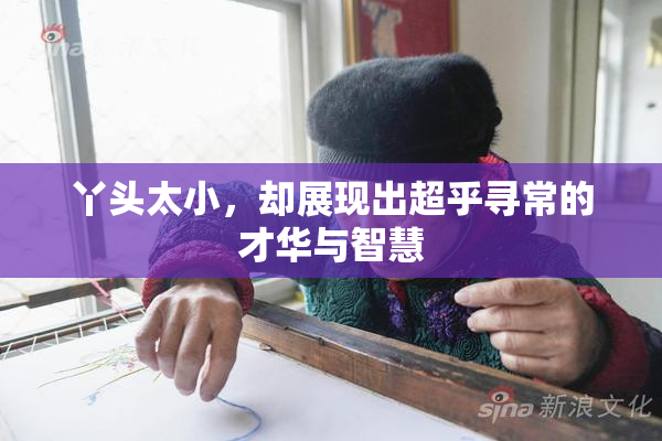 丫头太小，却展现出超乎寻常的才华与智慧