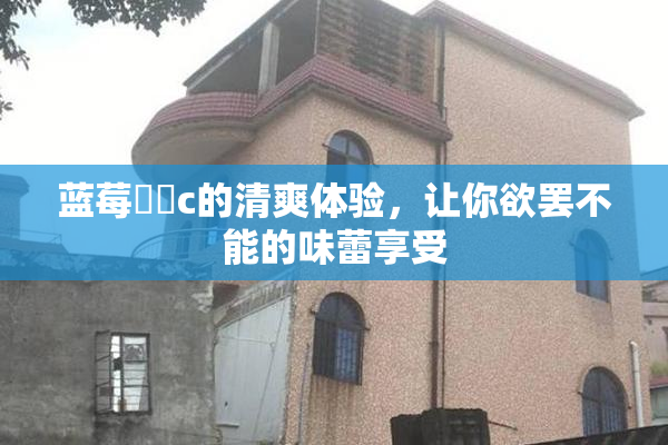 蓝莓❌‌c的清爽体验，让你欲罢不能的味蕾享受