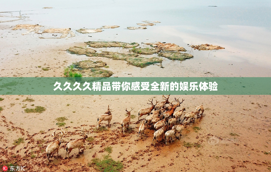 久久久久精品带你感受全新的娱乐体验