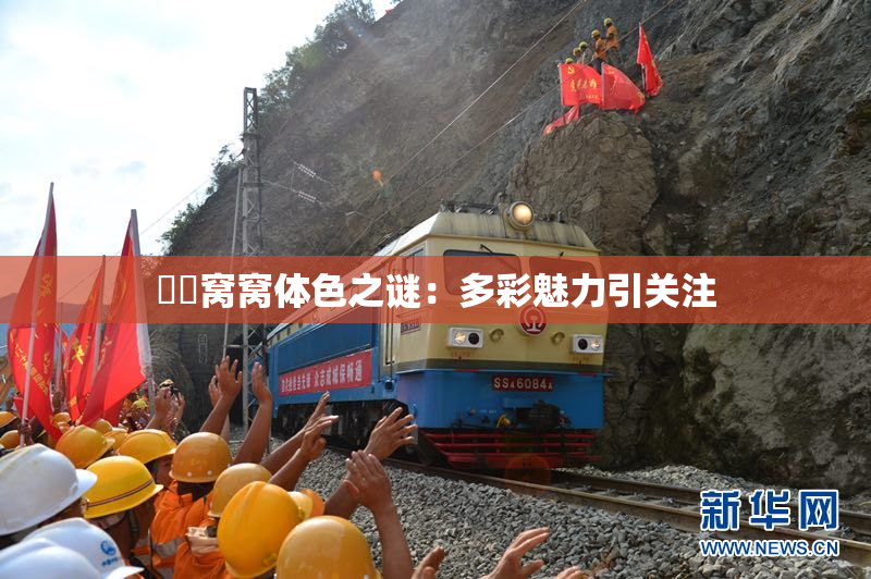 妺妺窝窝体色之谜：多彩魅力引关注