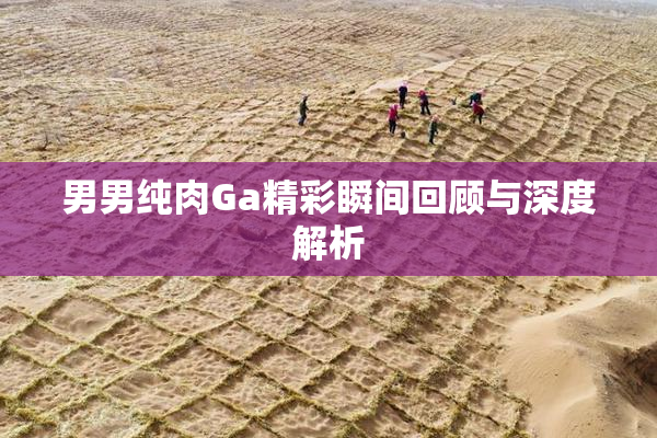 男男纯肉Ga精彩瞬间回顾与深度解析
