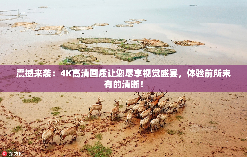 震撼来袭：4K高清画质让您尽享视觉盛宴，体验前所未有的清晰！