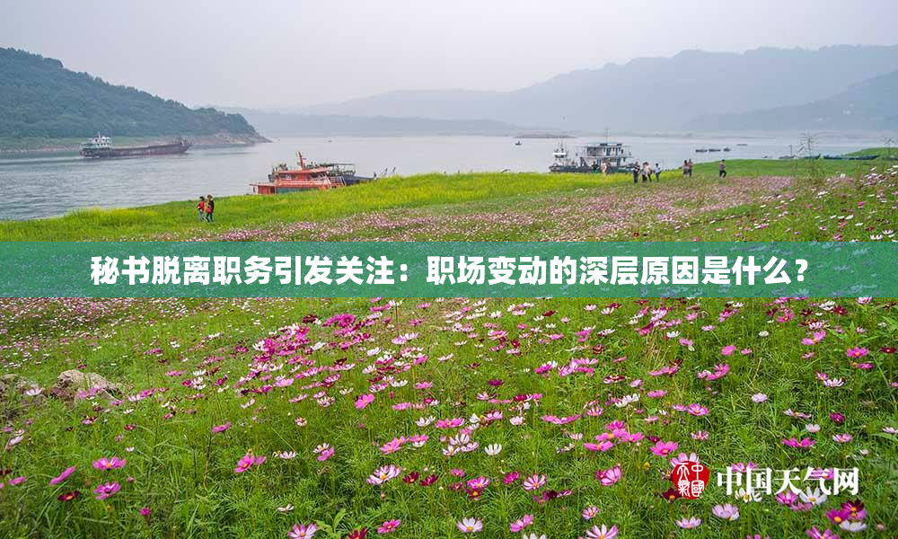 秘书脱离职务引发关注：职场变动的深层原因是什么？