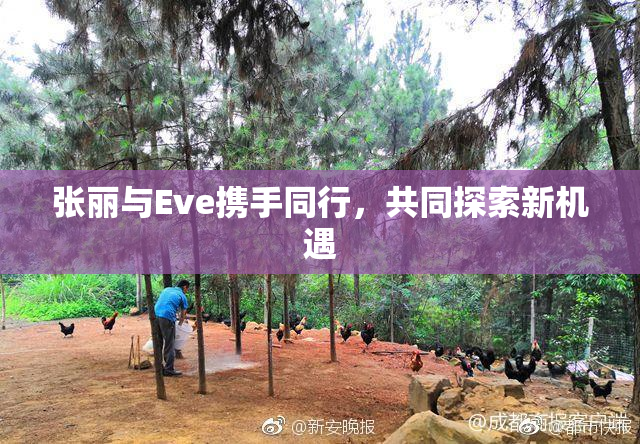 张丽与Eve携手同行，共同探索新机遇