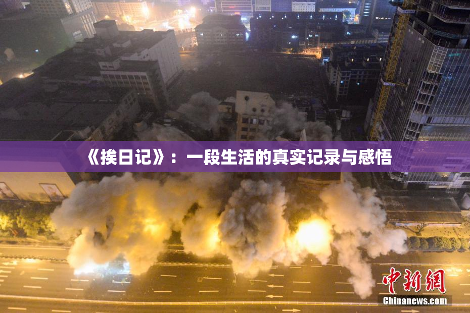 《挨日记》：一段生活的真实记录与感悟