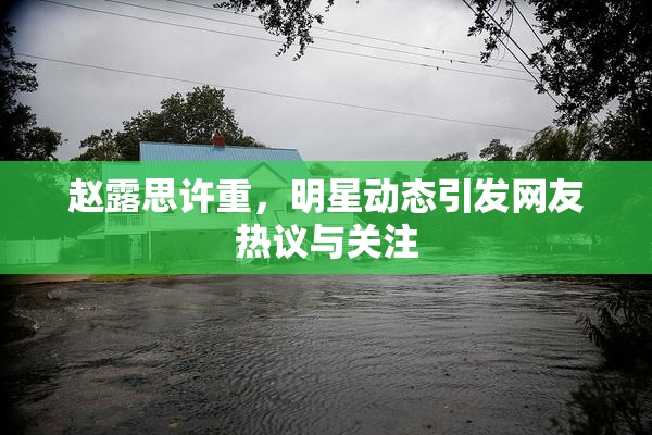 赵露思许重，明星动态引发网友热议与关注