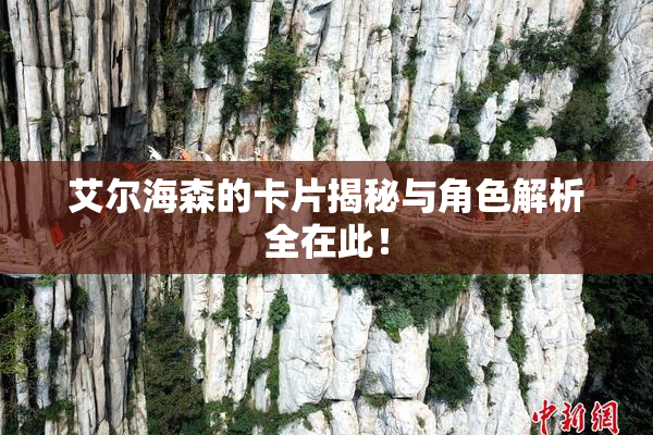 艾尔海森的卡片揭秘与角色解析全在此！