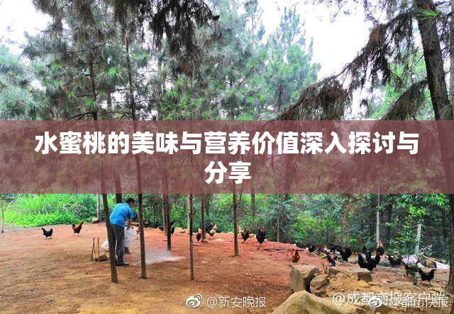 水蜜桃的美味与营养价值深入探讨与分享
