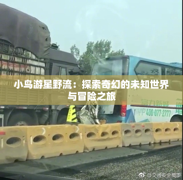 小鸟游星野流：探索奇幻的未知世界与冒险之旅