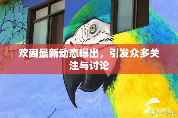 欢阁最新动态曝出，引发众多关注与讨论