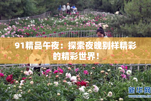 91精品午夜：探索夜晚别样精彩的精彩世界！