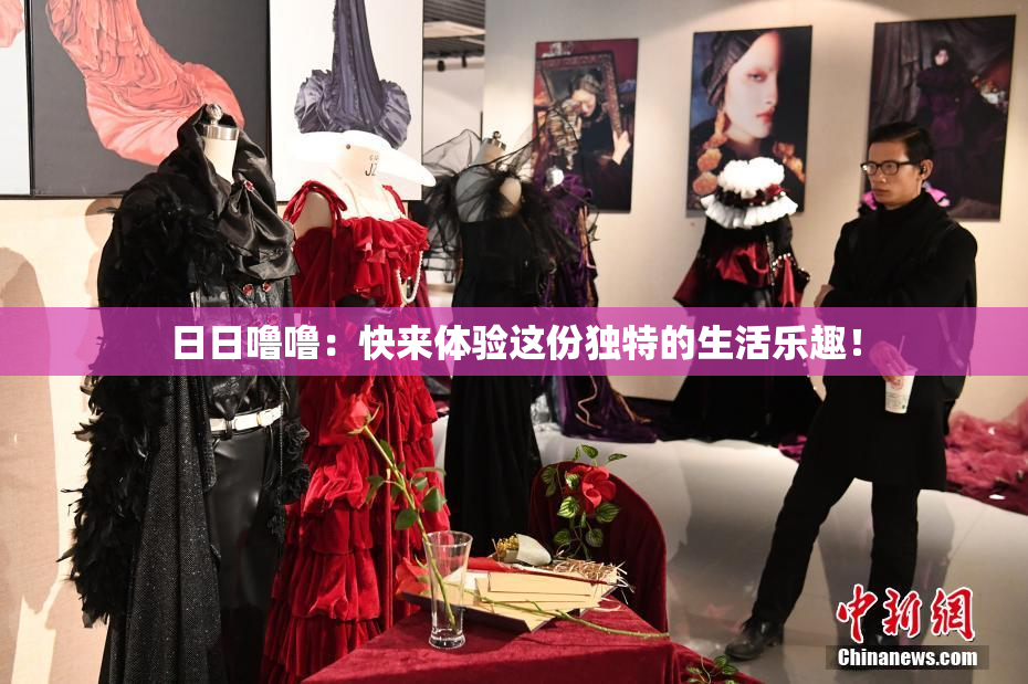 日日噜噜：快来体验这份独特的生活乐趣！
