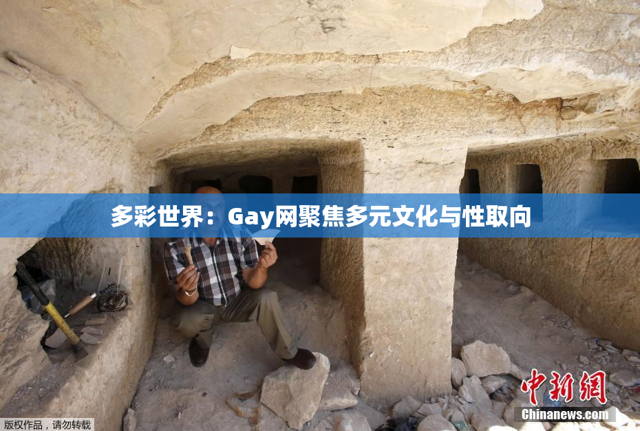 多彩世界：Gay网聚焦多元文化与性取向