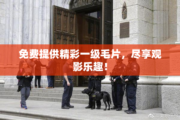 免费提供精彩一级毛片，尽享观影乐趣！