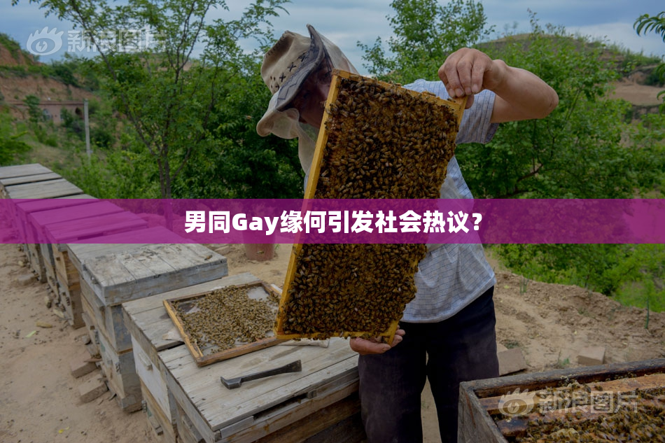 男同Gay缘何引发社会热议？