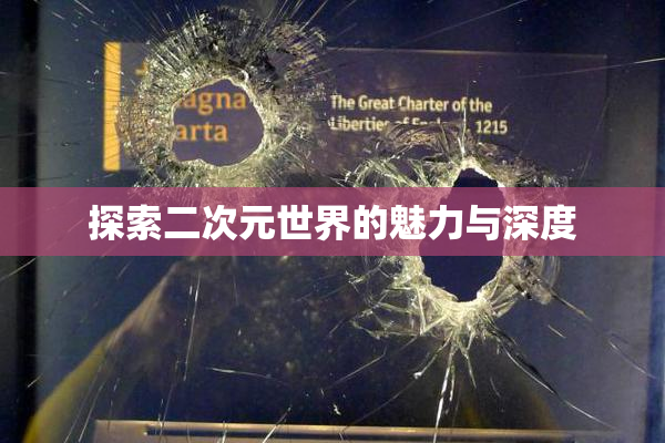 探索二次元世界的魅力与深度