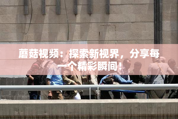 蘑菇视频：探索新视界，分享每一个精彩瞬间！