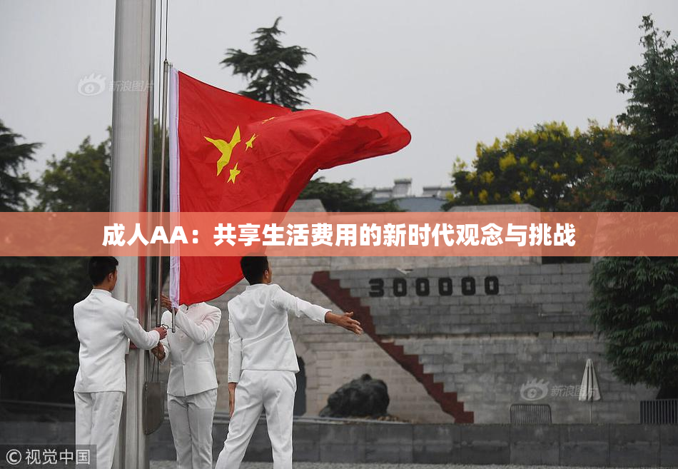成人AA：共享生活费用的新时代观念与挑战