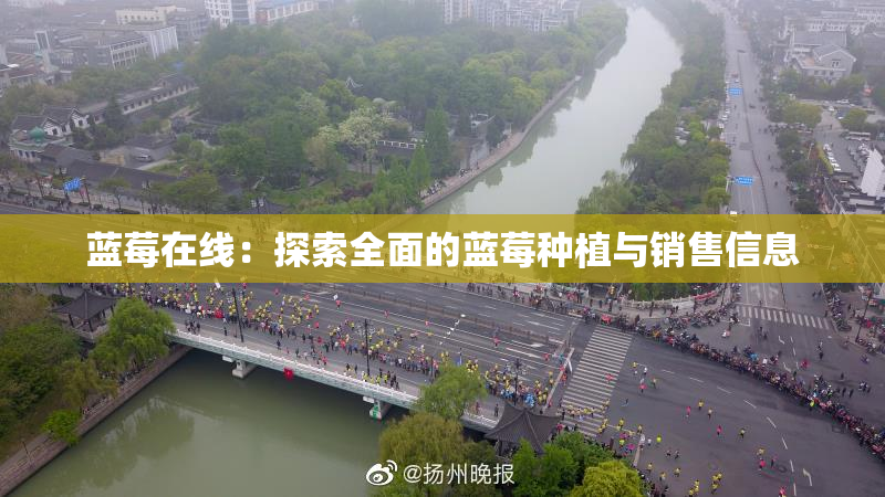 蓝莓在线：探索全面的蓝莓种植与销售信息
