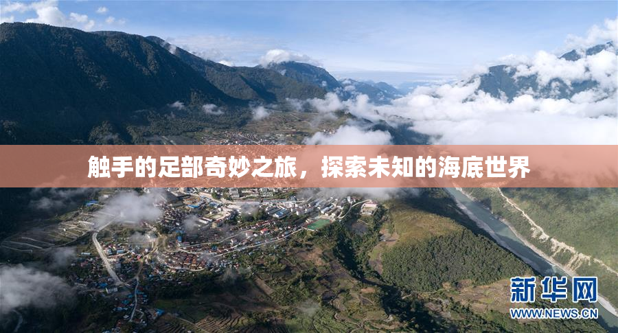 触手的足部奇妙之旅，探索未知的海底世界