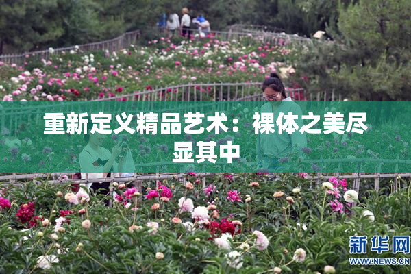 重新定义精品艺术：裸体之美尽显其中
