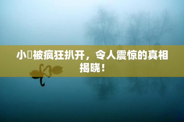 小泬被疯狂扒开，令人震惊的真相揭晓！
