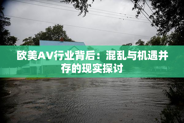欧美AV行业背后：混乱与机遇并存的现实探讨