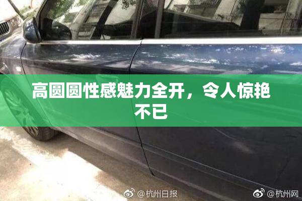 高圆圆性感魅力全开，令人惊艳不已
