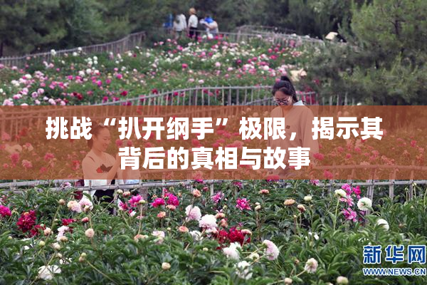 挑战“扒开纲手”极限，揭示其背后的真相与故事