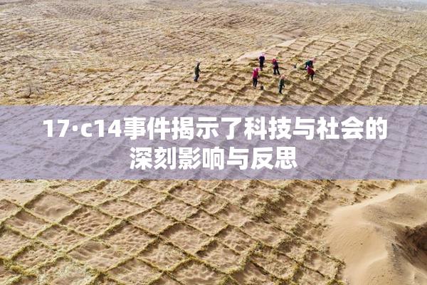 17·c14事件揭示了科技与社会的深刻影响与反思
