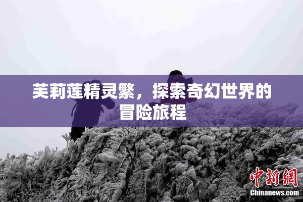 芙莉莲精灵繁，探索奇幻世界的冒险旅程