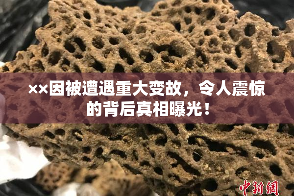 ××因被遭遇重大变故，令人震惊的背后真相曝光！