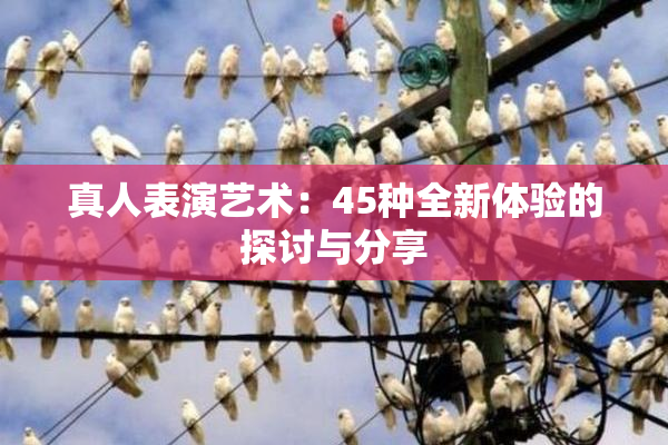 真人表演艺术：45种全新体验的探讨与分享