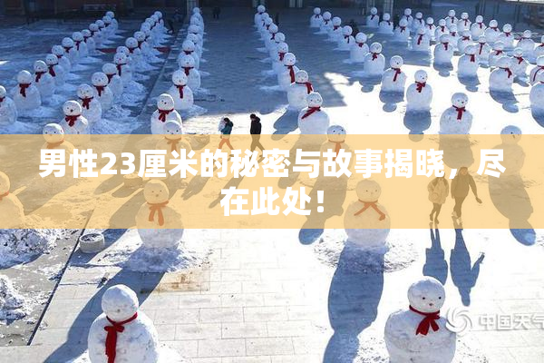 男性23厘米的秘密与故事揭晓，尽在此处！