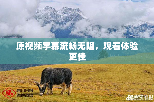 原视频字幕流畅无阻，观看体验更佳