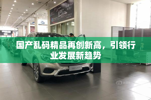国产乱码精品再创新高，引领行业发展新趋势