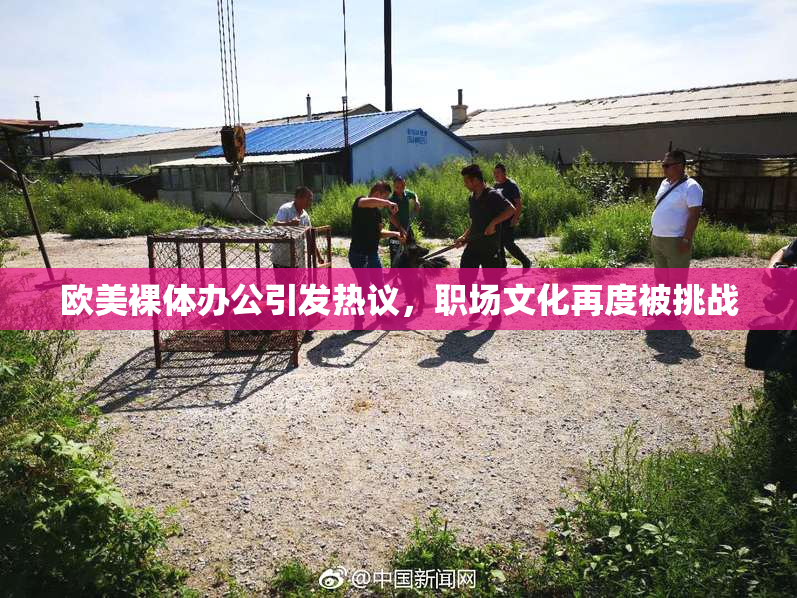 欧美裸体办公引发热议，职场文化再度被挑战
