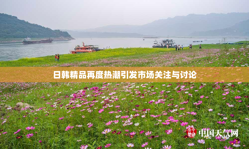 日韩精品再度热潮引发市场关注与讨论