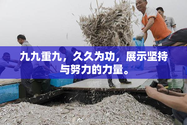 九九重九，久久为功，展示坚持与努力的力量。