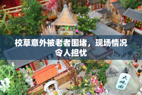 校草意外被老者围堵，现场情况令人担忧