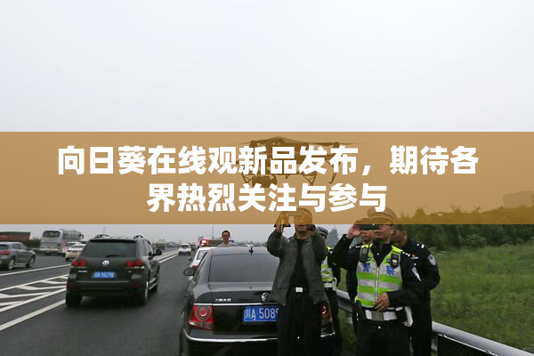 向日葵在线观新品发布，期待各界热烈关注与参与