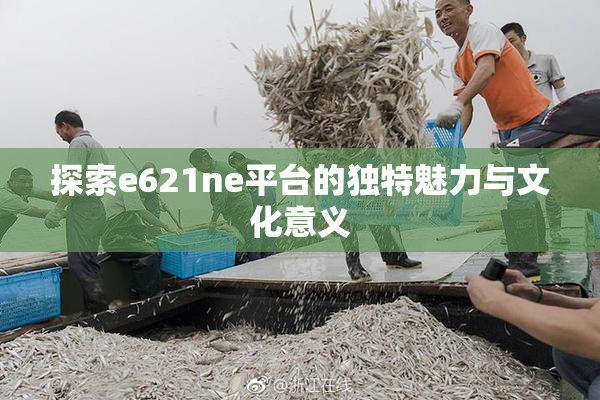 探索e621ne平台的独特魅力与文化意义