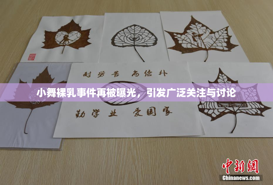 小舞裸乳事件再被曝光，引发广泛关注与讨论