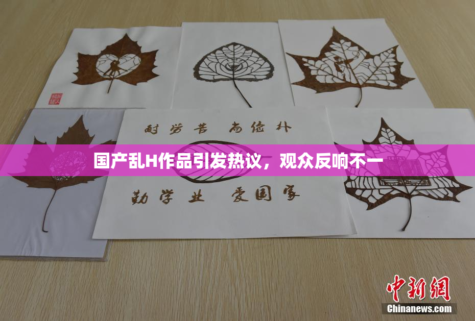 国产乱H作品引发热议，观众反响不一
