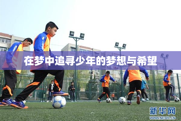 在梦中追寻少年的梦想与希望