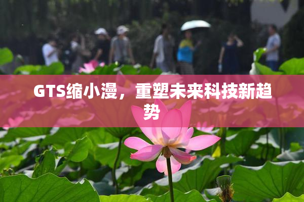 GTS缩小漫，重塑未来科技新趋势