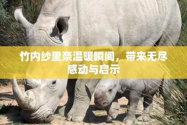 竹内纱里奈温暖瞬间，带来无尽感动与启示